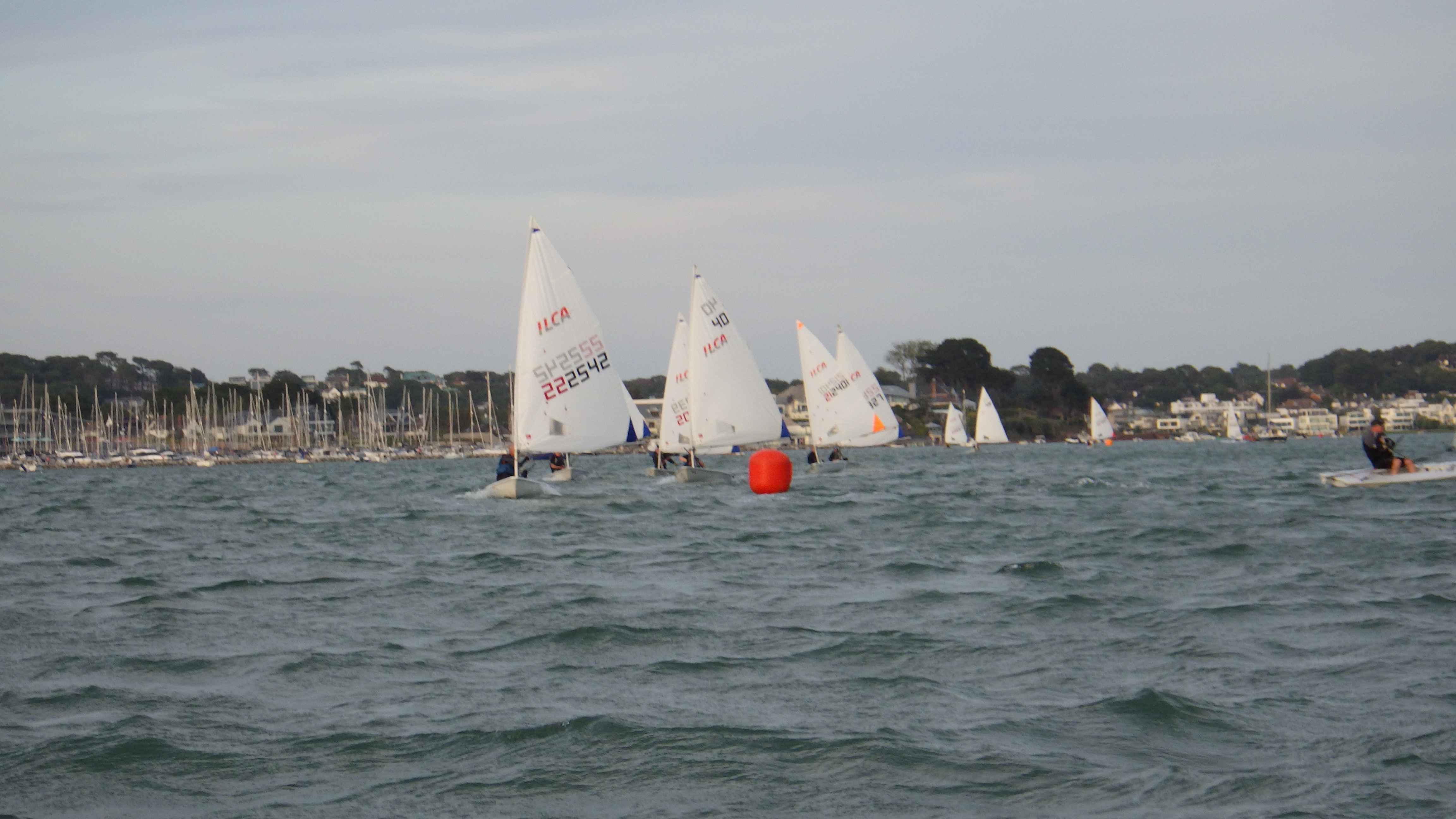 RIMG0208