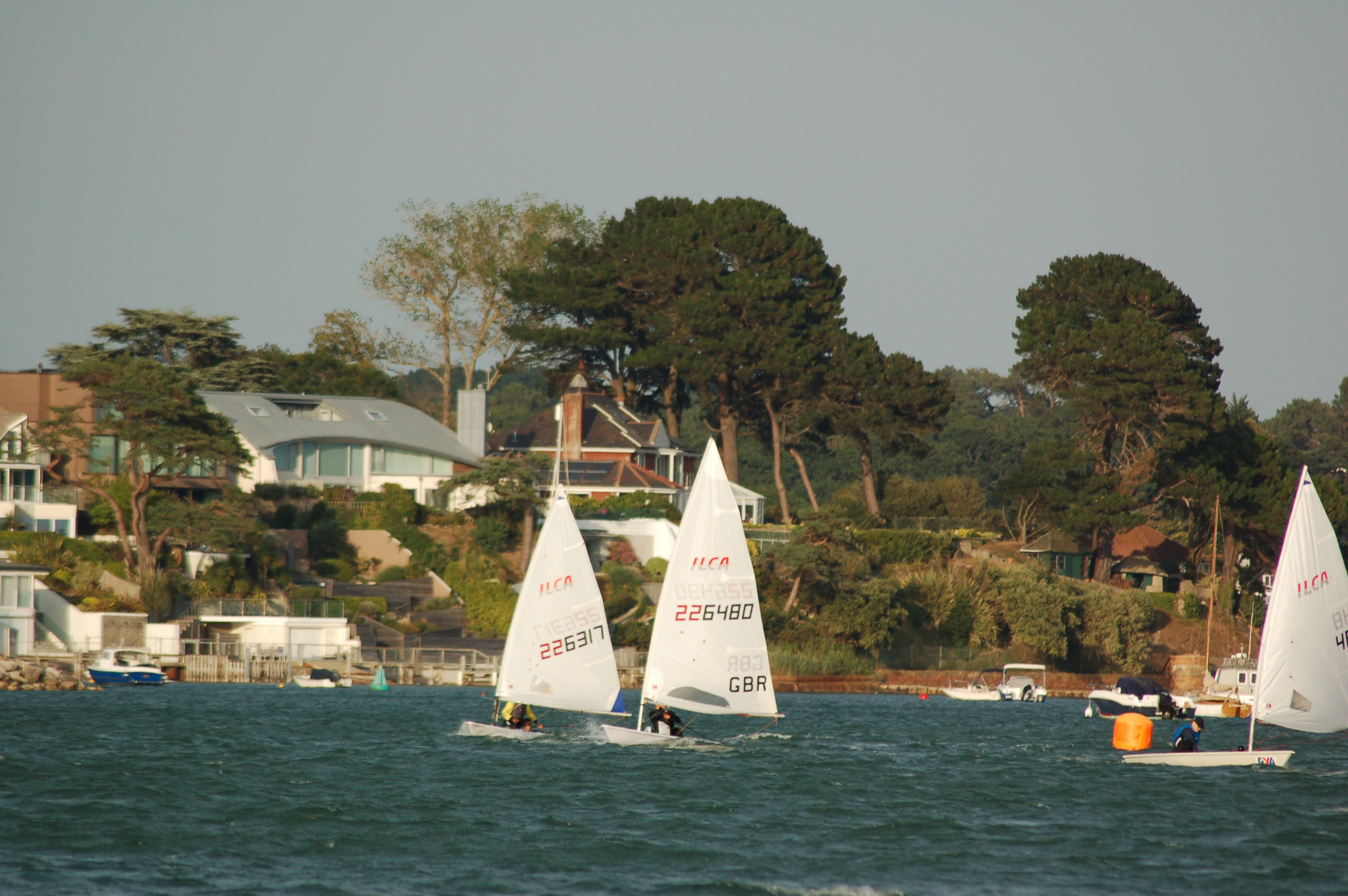 DSC_0201