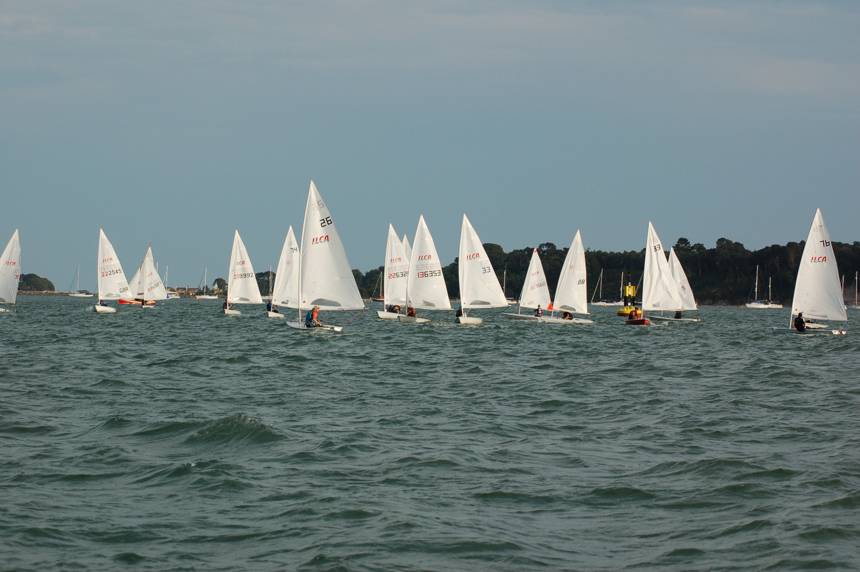 DSC_0048